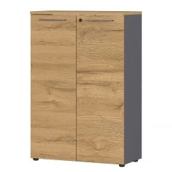 Germania Armoire de bureau GW-Agenda I - Imitation chêne Grandson / Graphite
